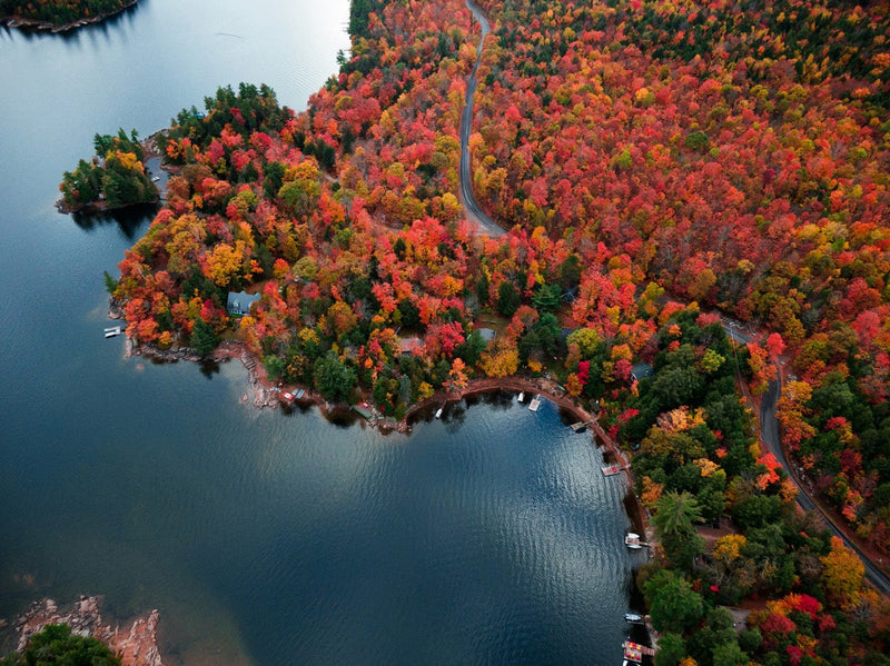 Ontario