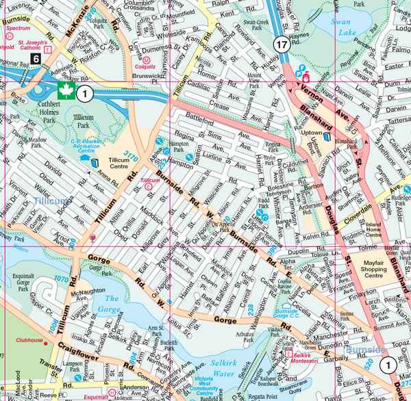 Greater Victoria Street Map -  MapArt