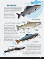 Northern BC Fishing Mapbook - Backroad Maps