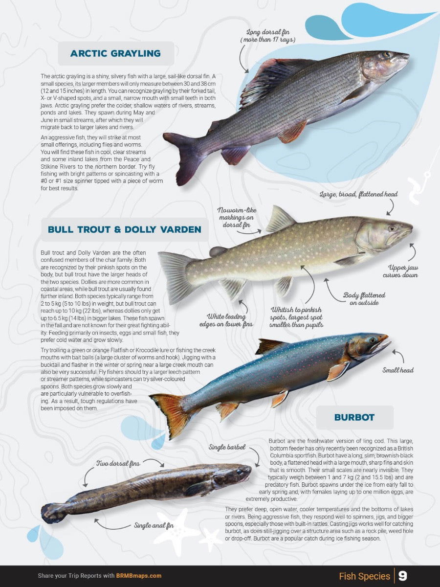 Northern BC Fishing Mapbook - Backroad Maps