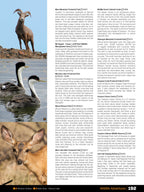Thompson Okanagan BC Backroad Mapbook