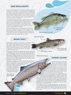 Vancouver Island BC Fishing Mapbook - Backroad Maps