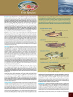 Central Ontario Fishing Mapbook